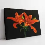 Kırmızı Çiçek | Kanvas Tablo | Cam Tablo | Mdf Tablo | B03054
