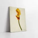 Çiçek | Kanvas Tablo | Cam Tablo | Mdf Tablo | B03056