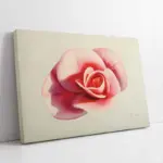 Pembbe Gül | Kanvas Tablo | Cam Tablo | Mdf Tablo | B03059