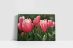 Pembe Lale Tarlası | Kanvas Tablo | Cam Tablo | Mdf Tablo | B03133 - Görsel 2