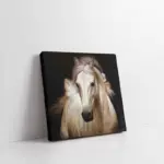 Beyaz At | Kanvas Tablo | Cam Tablo | Mdf Tablo | B15010