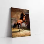 Zıplayan At | Kanvas Tablo | Cam Tablo | Mdf Tablo | B15014