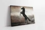 Şaha Kalkmış At | Kanvas Tablo | Cam Tablo | Mdf Tablo | B15019