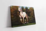 Koşan Kahverengi At | Kanvas Tablo | Cam Tablo | Mdf Tablo | B15032