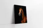 Siyah Fonda Kahverengi Yeleli At | Kanvas Tablo | Cam Tablo | Mdf Tablo | B15063