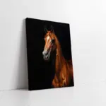 Siyah Fonda Kahverengi Yeleli At | Kanvas Tablo | Cam Tablo | Mdf Tablo | B15063
