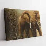 Tek Fil | Kanvas Tablo | Cam Tablo | Mdf Tablo | B15072