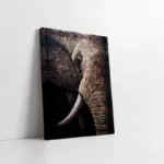 Filin Dişi | Kanvas Tablo | Cam Tablo | Mdf Tablo | B15079