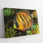 Melek Balığı | Kanvas Tablo | Cam Tablo | Mdf Tablo | B15121