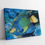 Balık | Kanvas Tablo | Cam Tablo | Mdf Tablo | B15127