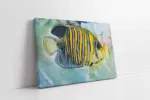 Balık | Kanvas Tablo | Cam Tablo | Mdf Tablo | B15128