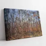 Orman | Kanvas Tablo | Cam Tablo | Mdf Tablo | B17051