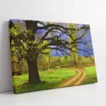 Soyut Doğa | Kanvas Tablo | Cam Tablo | Mdf Tablo | B20098