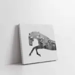 Koşan At | Kanvas Tablo | Cam Tablo | Mdf Tablo | B33025