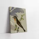 Dalda Kuş | Kanvas Tablo | Cam Tablo | Mdf Tablo | B33065