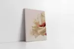 Makro Çekim Çiçek | Kanvas Tablo | Cam Tablo | Mdf Tablo | B33083