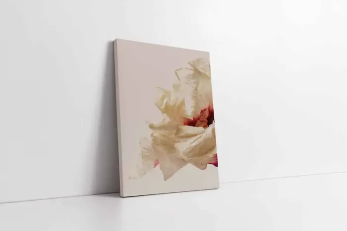 Makro Çekim Çiçek | Kanvas Tablo | Cam Tablo | Mdf Tablo | B33083 - Görsel 1