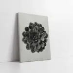 Siyah Beyaz Çiçek | Kanvas Tablo | Cam Tablo | Mdf Tablo | B33092