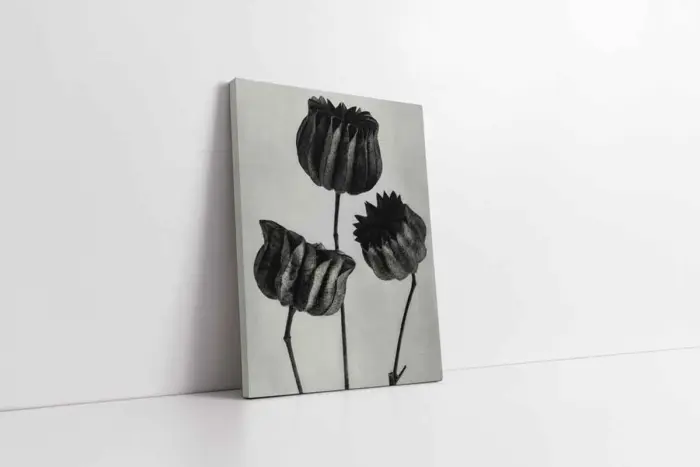 Siyah Beyaz Üçlü Çiçekler | Kanvas Tablo | Cam Tablo | Mdf Tablo | B33094 - Görsel 1