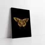 Altın Kelebek Siyah Zemin | Kanvas Tablo | Cam Tablo | Mdf Tablo | B33095