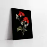 Siyah Zeminde Kırmızı Çiçek Iı | Kanvas Tablo | Cam Tablo | Mdf Tablo | B33103