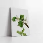 Yeşil Beyaz Çiçek | Kanvas Tablo | Cam Tablo | Mdf Tablo | B33107