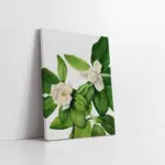 Yeşil Beyaz Çiçekler | Kanvas Tablo | Cam Tablo | Mdf Tablo | B33109