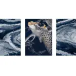 Mavi Soyut Ve Tavus Kuşu Üçlü Kanvas Tablo | Cam Tablo | Mdf Tablo Seti | B33138