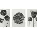 Siyah Beyaz Çiçekler Üçlü Kanvas Tablo | Cam Tablo | Mdf Tablo Seti | B33139