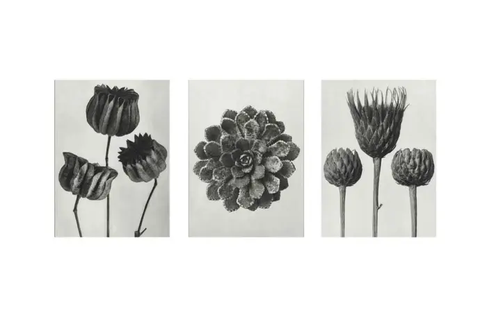 Siyah Beyaz Çiçekler Üçlü Kanvas Tablo | Cam Tablo | Mdf Tablo Seti | B33139 - Görsel 1