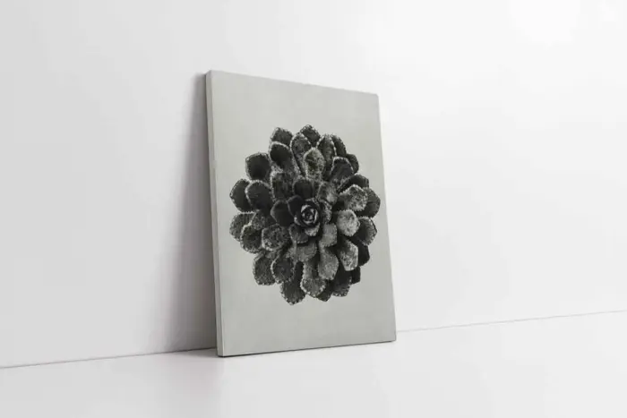 Siyah Beyaz Çiçekler Üçlü Kanvas Tablo | Cam Tablo | Mdf Tablo Seti | B33139 - Görsel 3