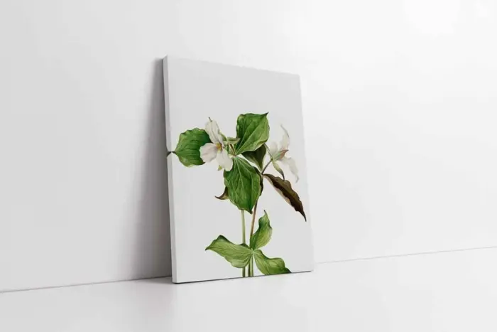 Beyaz Çiçekler Üçlü Kanvas Tablo | Cam Tablo | Mdf Tablo Seti | B33144 - Görsel 3