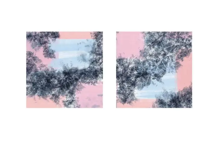 Pembe Gri Soyut İkili Kanvas Tablo | Cam Tablo | Mdf Tablo Seti | B33153 - Görsel 1
