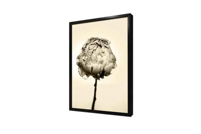 Kar Beyaz Çiçek | Kanvas Tablo | Cam Tablo | Mdf Tablo | A03156 - Görsel 4