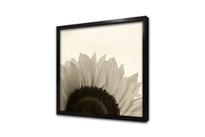 Makro Çekim Beyaz Çiçek | Kanvas Tablo | Cam Tablo | Mdf Tablo | A03169 - Görsel 4