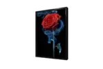 Kırmızı Gül | Kanvas Tablo | Cam Tablo | Mdf Tablo | A03243 - Görsel 4