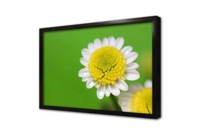 Makro Çekim Papatya | Kanvas Tablo | Cam Tablo | Mdf Tablo | A03264 - Görsel 4