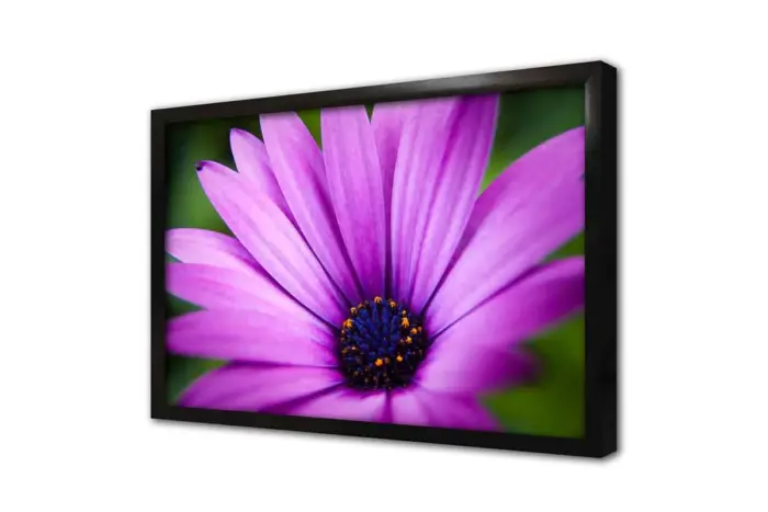 Lila Çiçek Makro Çekim | Kanvas Tablo | Cam Tablo | Mdf Tablo | A03546 - Görsel 4