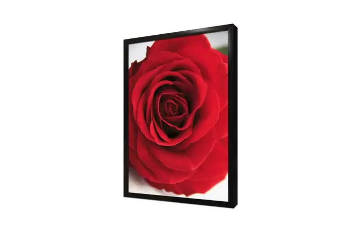 Makro Gül | Kanvas Tablo | Cam Tablo | Mdf Tablo | A03641 - Görsel 4