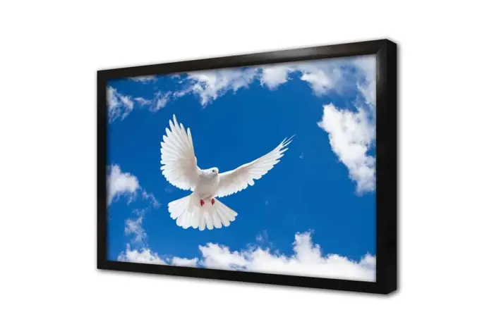Beyaz Güvercinler | Kanvas Tablo | Cam Tablo | Mdf Tablo | A32043 - Görsel 4