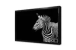 Zebra | Kanvas Tablo | Cam Tablo | Mdf Tablo | A32067 - Görsel 4