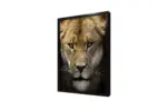 Yakın Çekim Aslan | Kanvas Tablo | Cam Tablo | Mdf Tablo | A32071 - Görsel 4