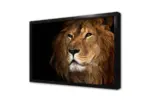 Yakın Çekim Aslan | Kanvas Tablo | Cam Tablo | Mdf Tablo | A32073 - Görsel 4