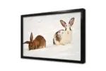 Karda Tavşan | Kanvas Tablo | Cam Tablo | Mdf Tablo | A32187 - Görsel 4