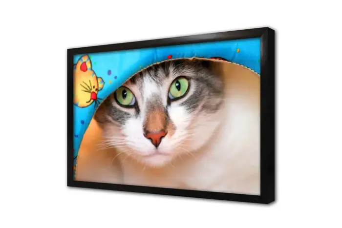 Kedi | Kanvas Tablo | Cam Tablo | Mdf Tablo | A32206 - Görsel 4