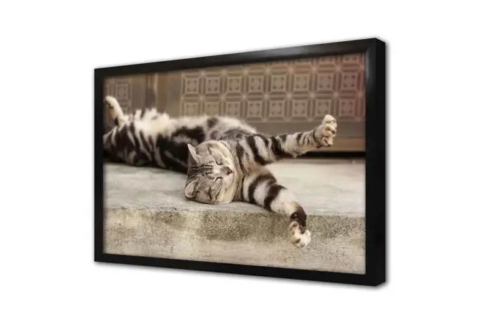 Kedi | Kanvas Tablo | Cam Tablo | Mdf Tablo | A32207 - Görsel 4