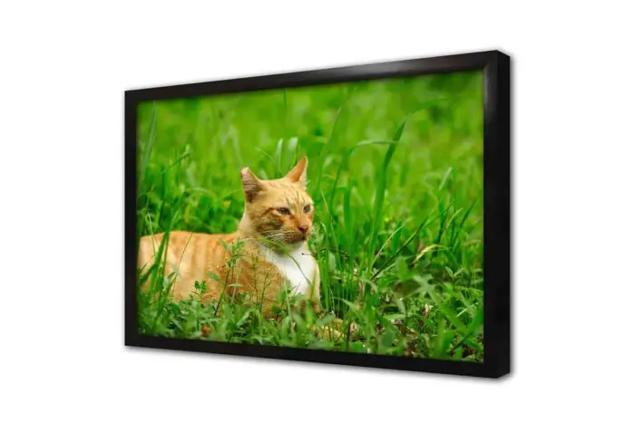 Kedi | Kanvas Tablo | Cam Tablo | Mdf Tablo | A32208 - Görsel 4