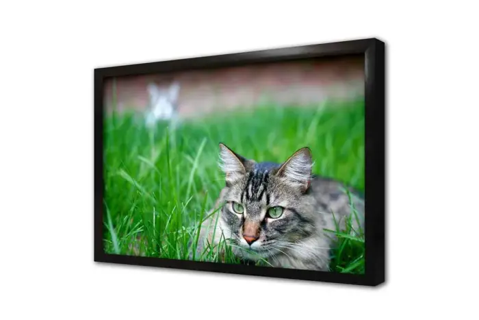 Kedi | Kanvas Tablo | Cam Tablo | Mdf Tablo | A32217 - Görsel 4