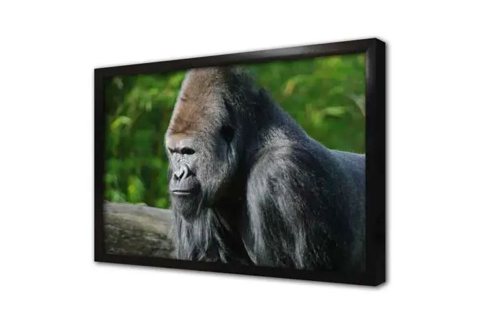 Orangutan | Kanvas Tablo | Cam Tablo | Mdf Tablo | A32223 - Görsel 4