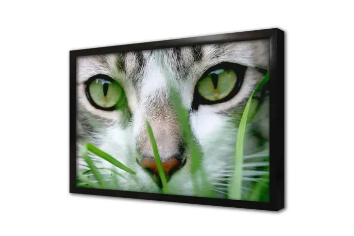 Kedi | Kanvas Tablo | Cam Tablo | Mdf Tablo | A32225 - Görsel 4